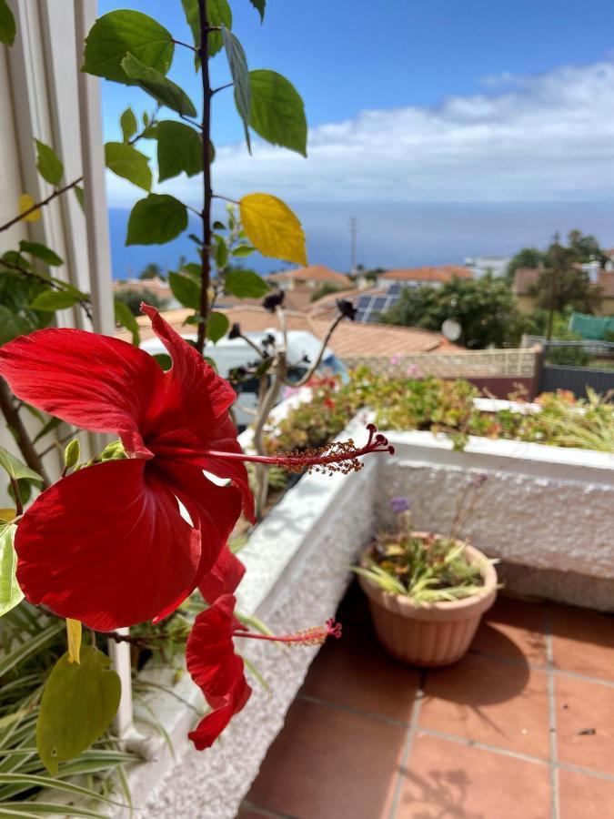 Guanche Bay Daire Santa Cruz de Tenerife Dış mekan fotoğraf